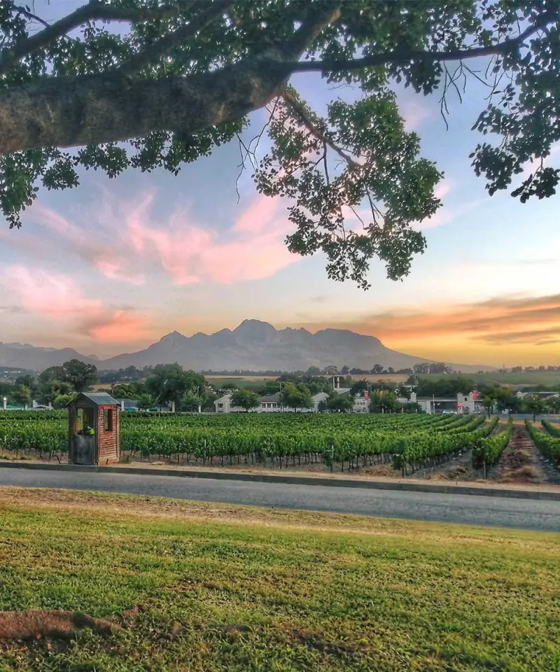 Stellenbosch town centre